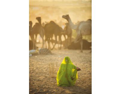 National Geographic - Sediaca žena - 1000 dielikov