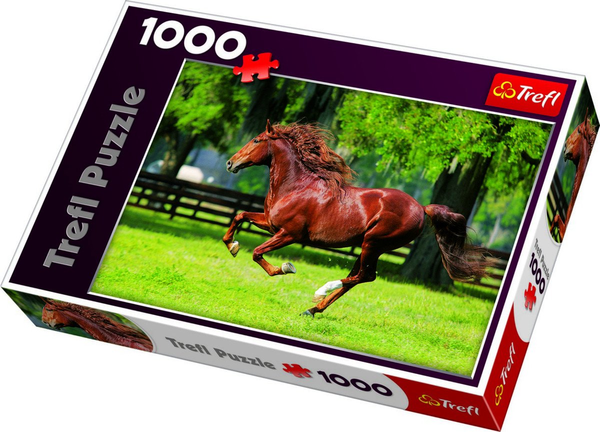 Hnedý kôň - 1000 dielikov